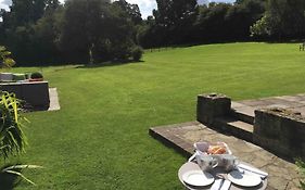 The Annex Is In The Beautiful Ashdown Forest